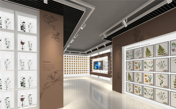 甘肃展厅设计指南：怎样打造引人入胜的展示空间